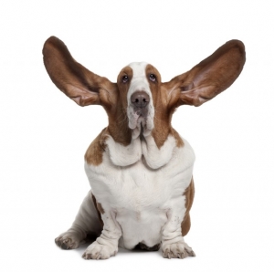 selling expectations the problem between your ears